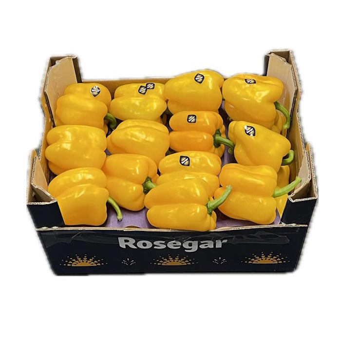 Paprika GELB Spanien 5 kg – Bild 1