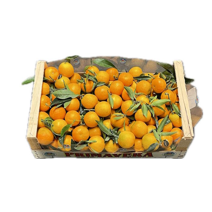 Clementinen "mit Blatt" 7kg – Bild 1