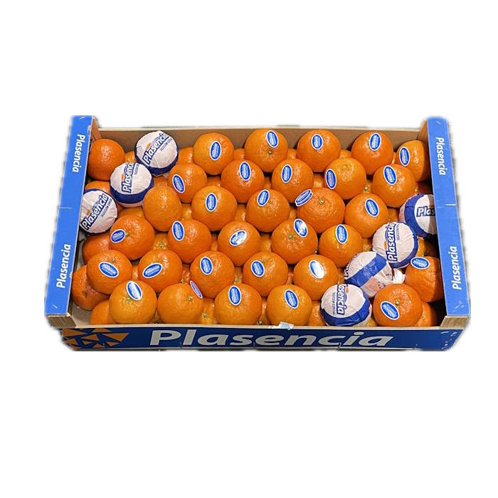 Clementinen ''Plasencia'' 78er – Bild 1