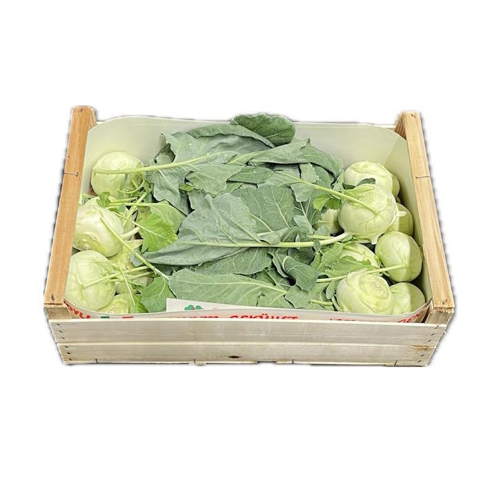 Kohlrabi Italien 1 Stk. – Bild 1