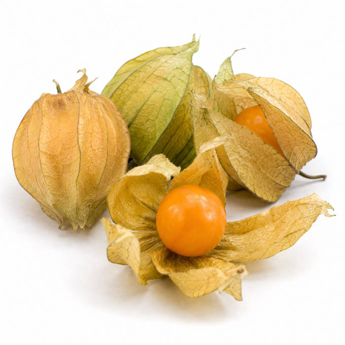 Physalis 1 x 100g – Bild 1