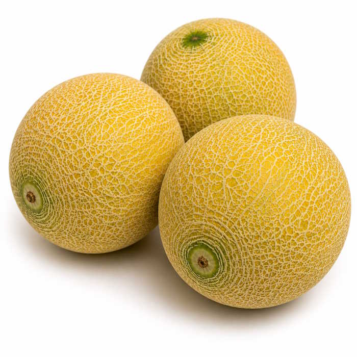 Galia Melone 5/6er – Bild 1