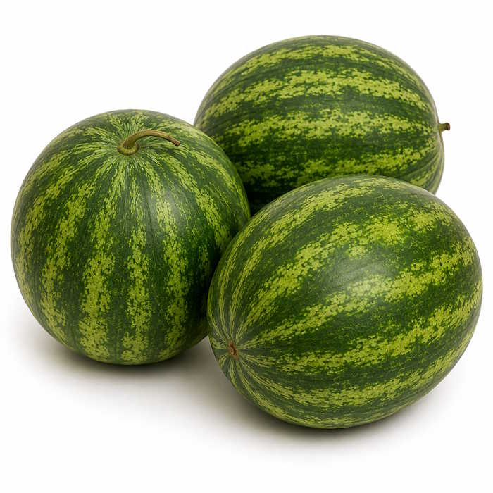 Wassermelonen kernlos 4/5´er – Bild 1