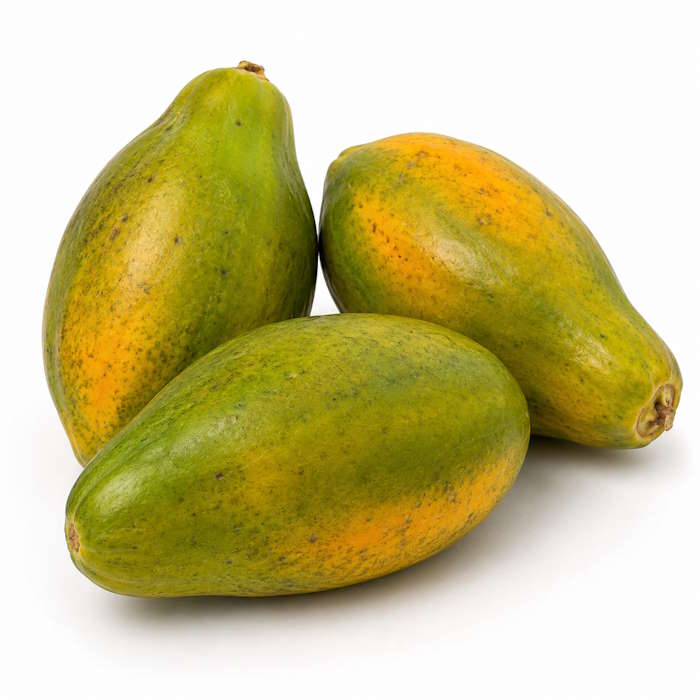 Papaya Riesen -Formosa- 1 Stk. – Bild 1