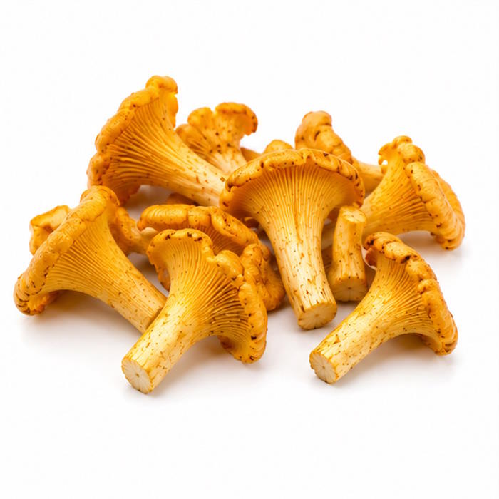 Pfifferlinge "Küchenfertig" 1,5 Kg – Bild 1