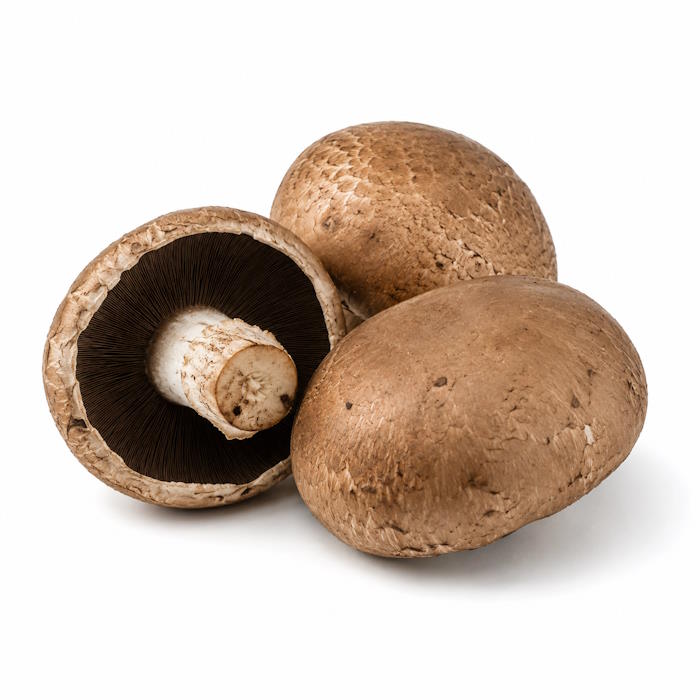 Champignon "Portobello" 1,5 kg – Bild 1
