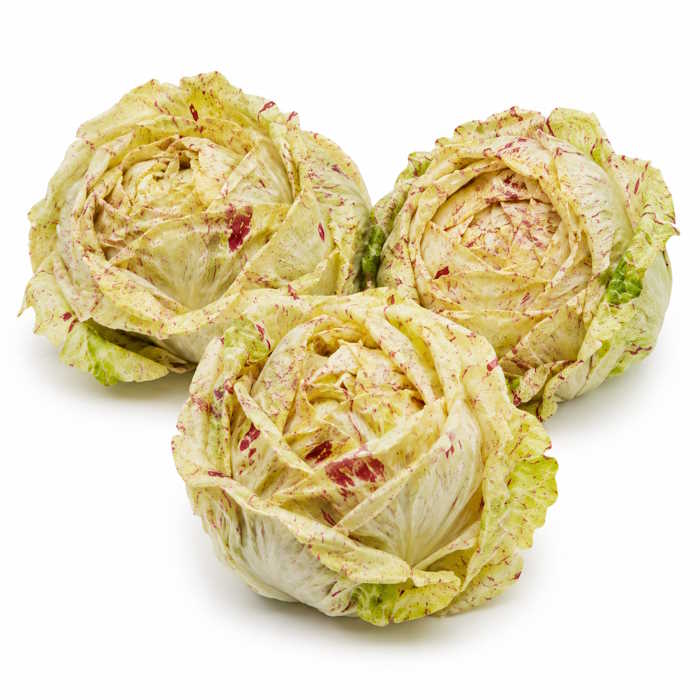Radicchio "Castelfranco" -Wiegeartikel- – Bild 1