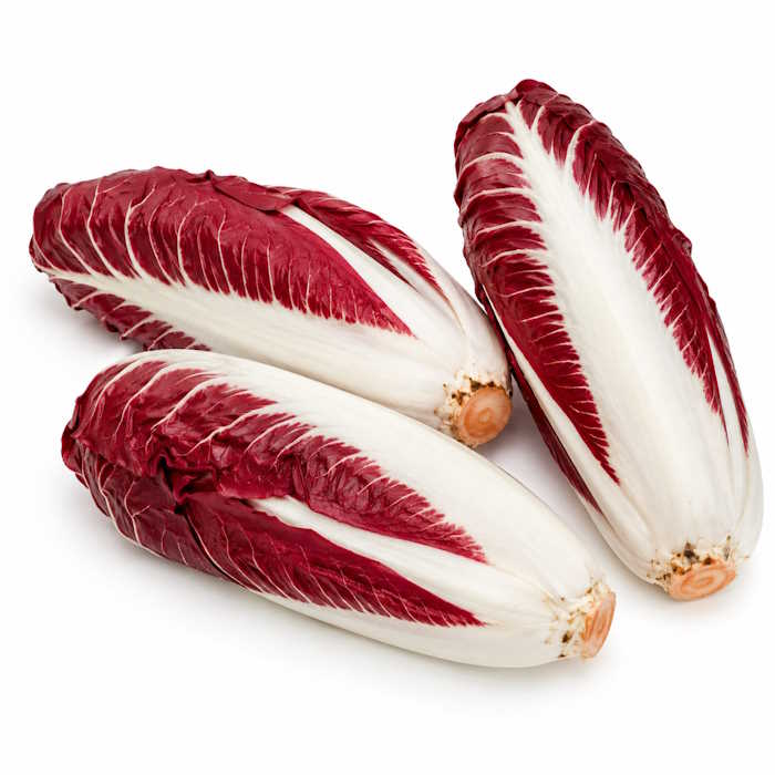 Radicchio lang "Trevisano" – Bild 1