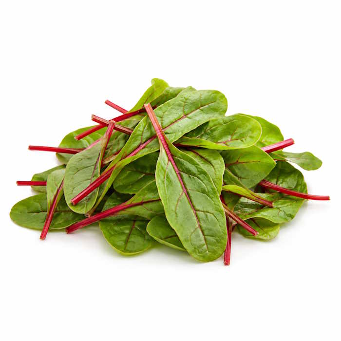 Red-Chard Salat 125gr Schale -Vorbestellartikel- – Bild 1