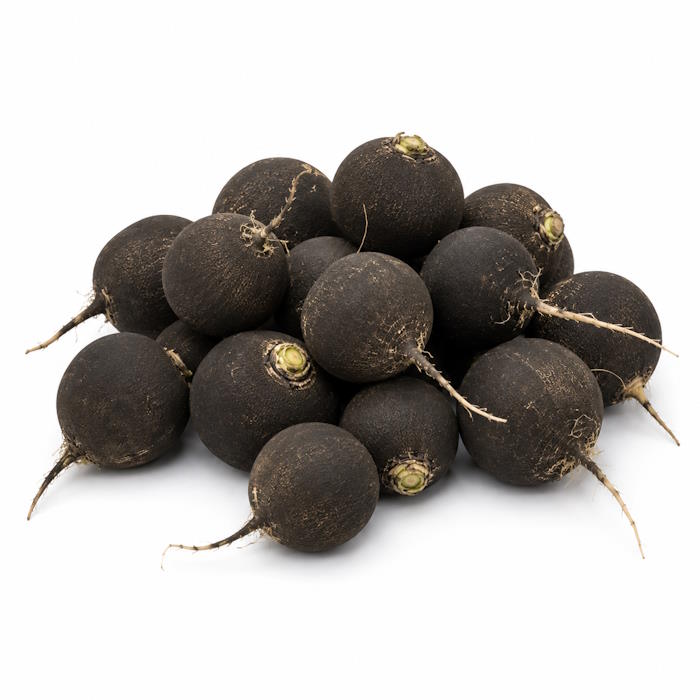 Rettich schwarz 5 kg – Bild 1