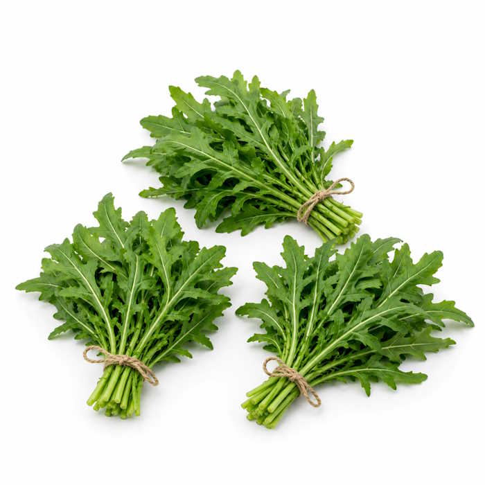 Ruccola 10er Bunde "Italien" – Bild 1