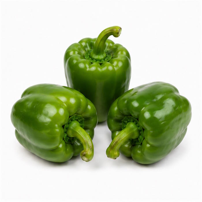 Paprika GRÜN Holland 1 kg – Bild 1