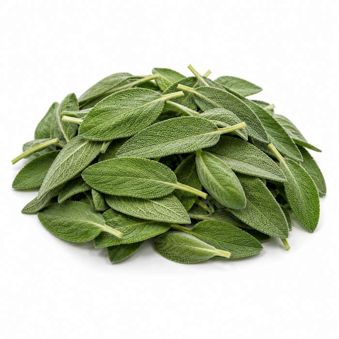 Salbei 1kg Israel – Bild 1