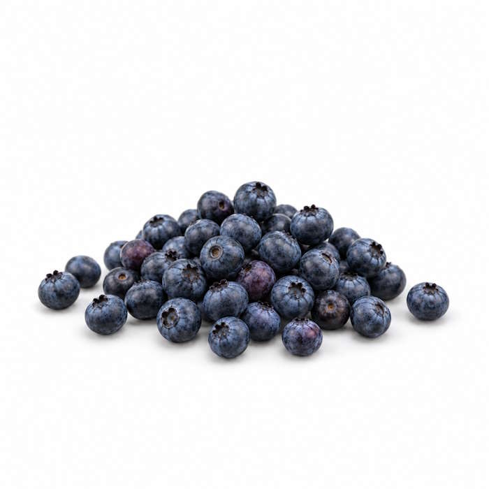 Heidelbeeren 8 x 250g "Belgien" – Bild 1