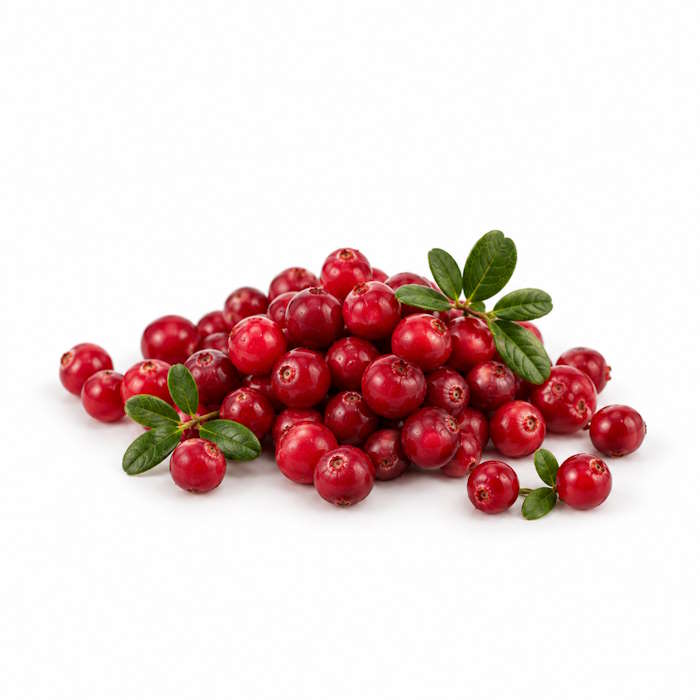 Preiselbeeren 1kg-Korb – Bild 1